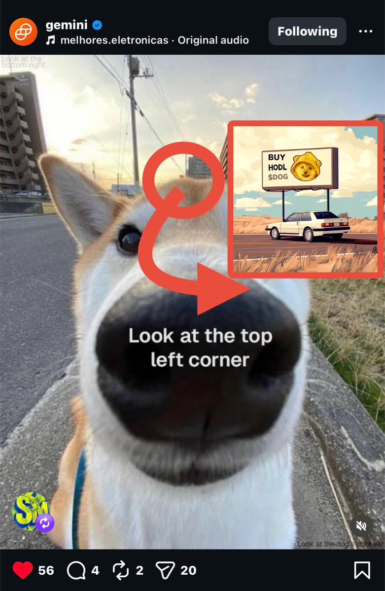 joopooranski's tweet image. 🚨 JUST IN:
@Gemini posted the same dog post on its instagram, and if you zoom in you can clearly see $DOG on the billboard.
You are Not ready.