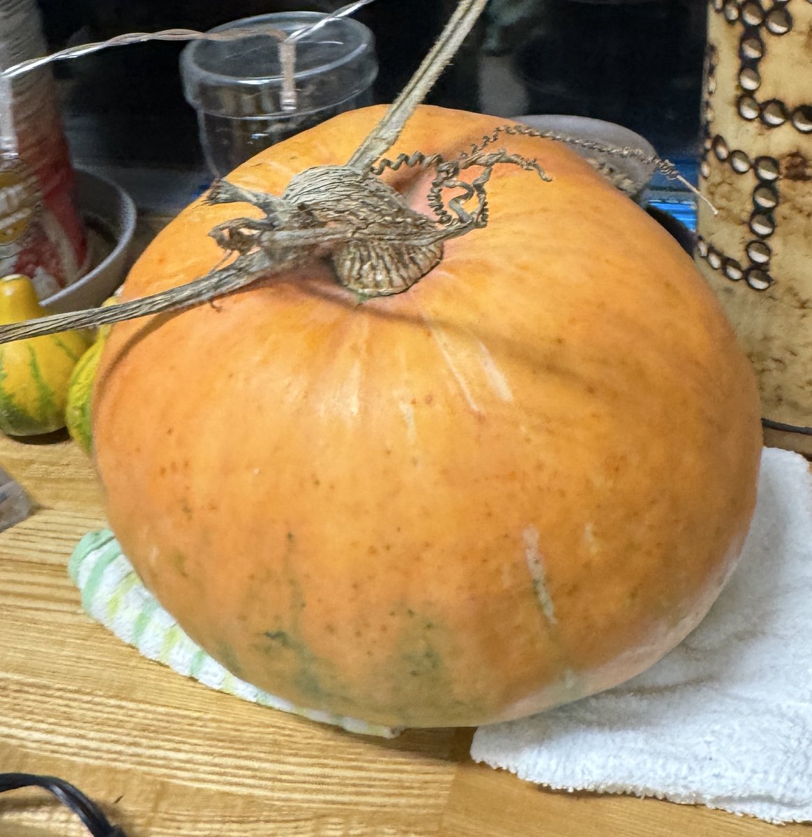 以前載せたターキッシュターバンかぼちゃです。1ヶ月くらい前に収穫したのですが、やはりターバン型ではありませんでした。
約3kgほどです。1ヶ月経って、黄色だったのが綺麗なオレンジ色になってきました！