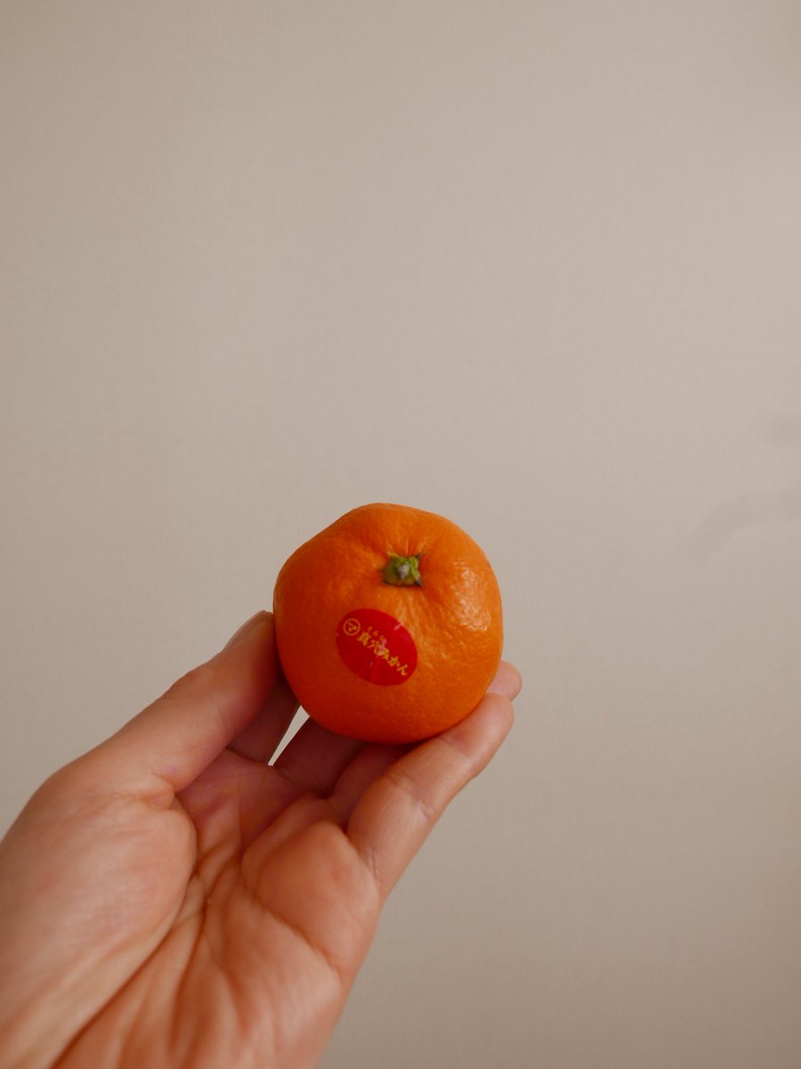 まめつぶ まめつぶ (@mame_mametaroo) / Posts / X