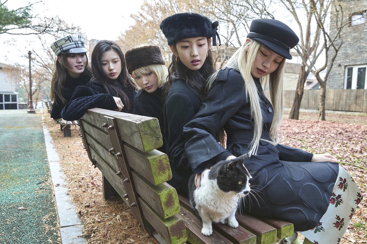 Stella ♥︎ tweet media