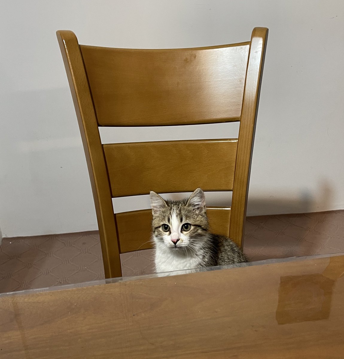 مامان‌ِ سوفی tweet media