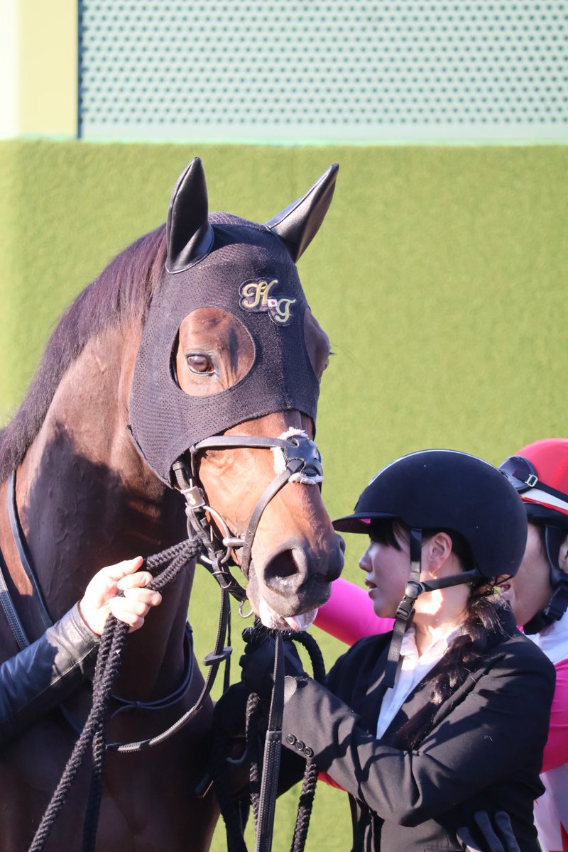 #ダイシンアポロン
#上山牧場