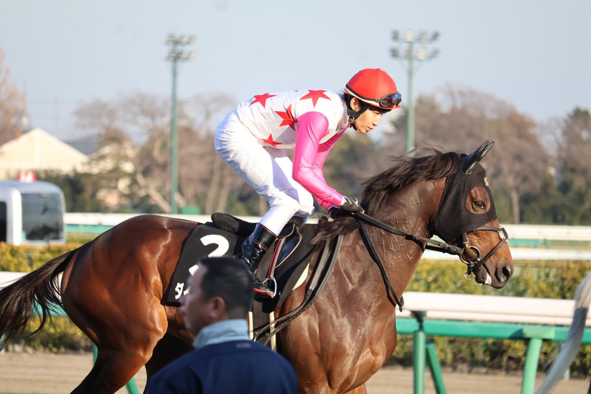 #ダイシンアポロン
#上山牧場