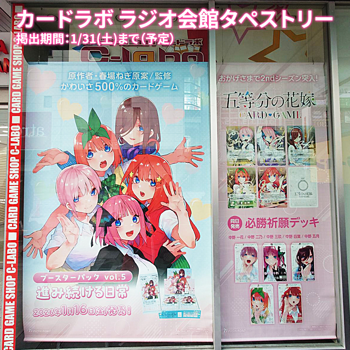 公式】五等分の花嫁 カードゲーム (@5Hanayome_TCG) / Posts / X