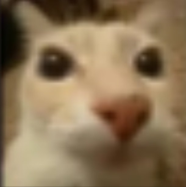 Huetito🥚💙 tweet media