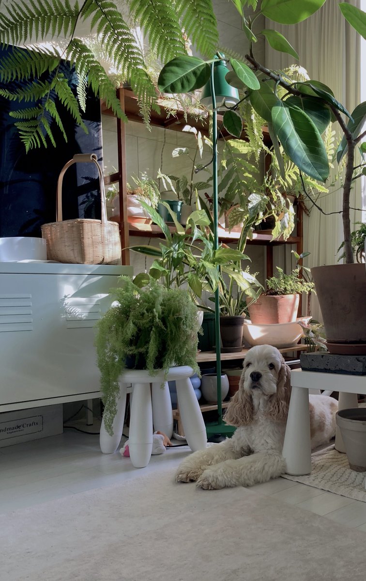 사랑이 어스🧚‍♂️