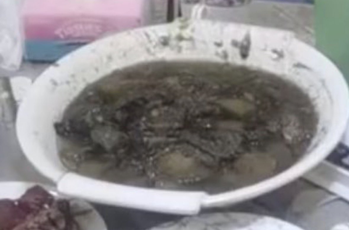 보송이의 하루 tweet media