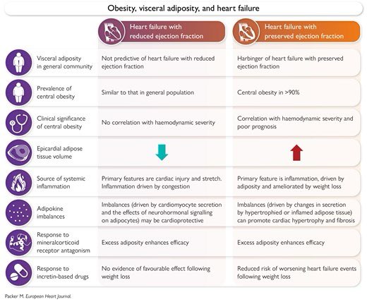 Ahmed Bennis MD 🫀 tweet media
