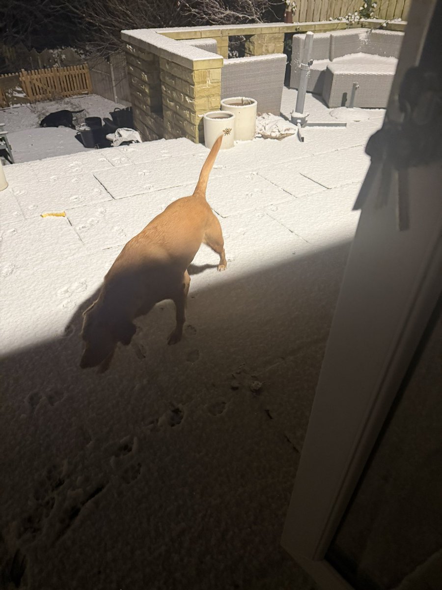 troy and ellie 🐾🐾 tweet media