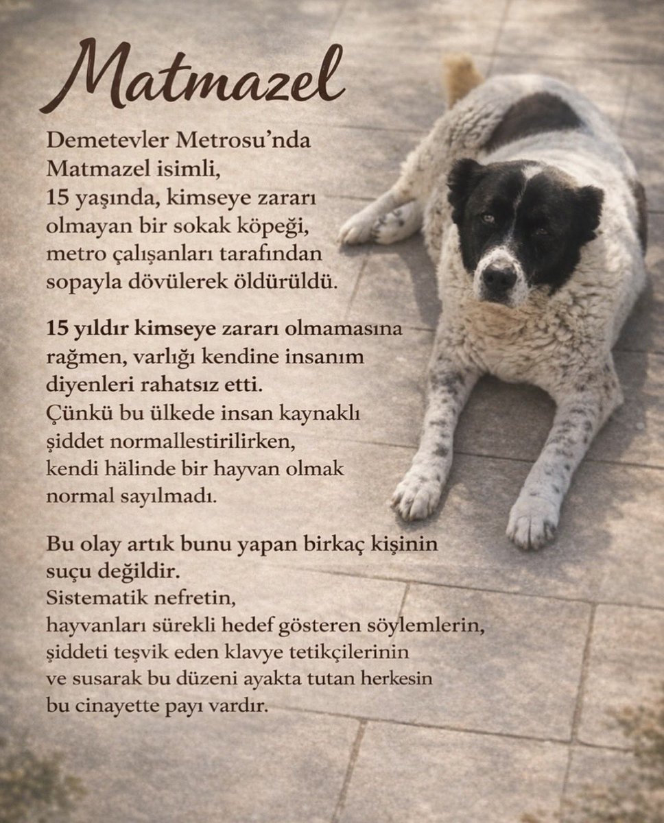 #MatmazelİçinAdalet