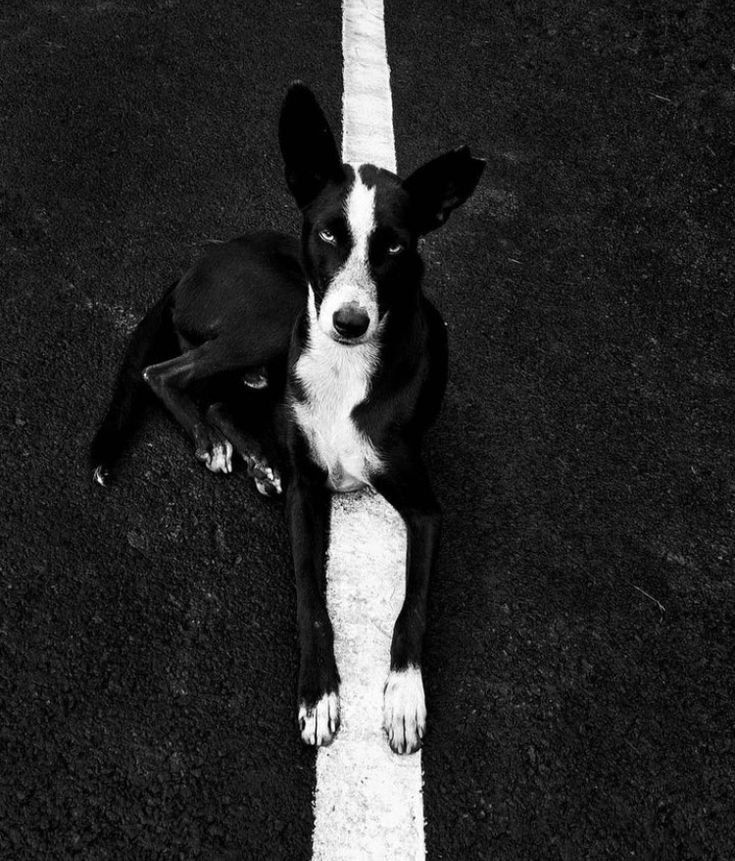 Auteur non identifié