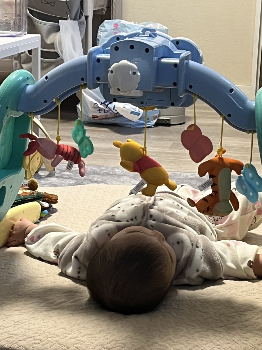 家に帰ったらプーさん達が吊るされてた