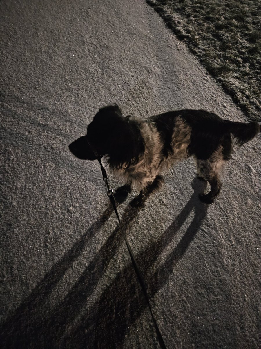Dark, too early and snow!!
