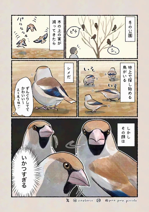 「コワモテの鳥!?」
だんだん可愛く見えてくるので不思議です。 