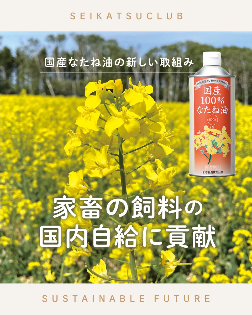 seikatsu_club's tweet photo. 【サステイナブルな未来を一緒に考える】
国産なたね油の新しい取組み
家畜の飼料の国内自給に貢献

日本では、なたね油の原料となるナタネのほぼ99.9％を輸入にたよっています。※
生活クラブでは、できる限り国内で育てたナタネを原料にし、化学薬品を使わない油づくりを続けてきました。
そうした中、2025年10月から消費材のなたね油の原料として、国産品種のナタネが新たに採用されました。
これまでとはなにが変わったのか、いっしょにみてみましょう。

※農林水産省「 なたねをめぐる状況について(令和7年9月時点) 」

▼記事全文はこちらから
https://t.co/VnoUbR2ILI

#国産なたね油 #なたね油 #国産100パーセントなたね油 #ナタネ #国産自給率アップ #米澤製油 #搾油 #搾りかす #ペノカのしずく #家畜の飼料 #青果物などの肥料 #サステイナブルな未来を一緒に考えるページ #生活クラブ #SDGs #サステイナブル #生活クラブのある豊かなくらし #生活クラブ生協 #生活クラブの消費材 #宅配生協 #安心安全