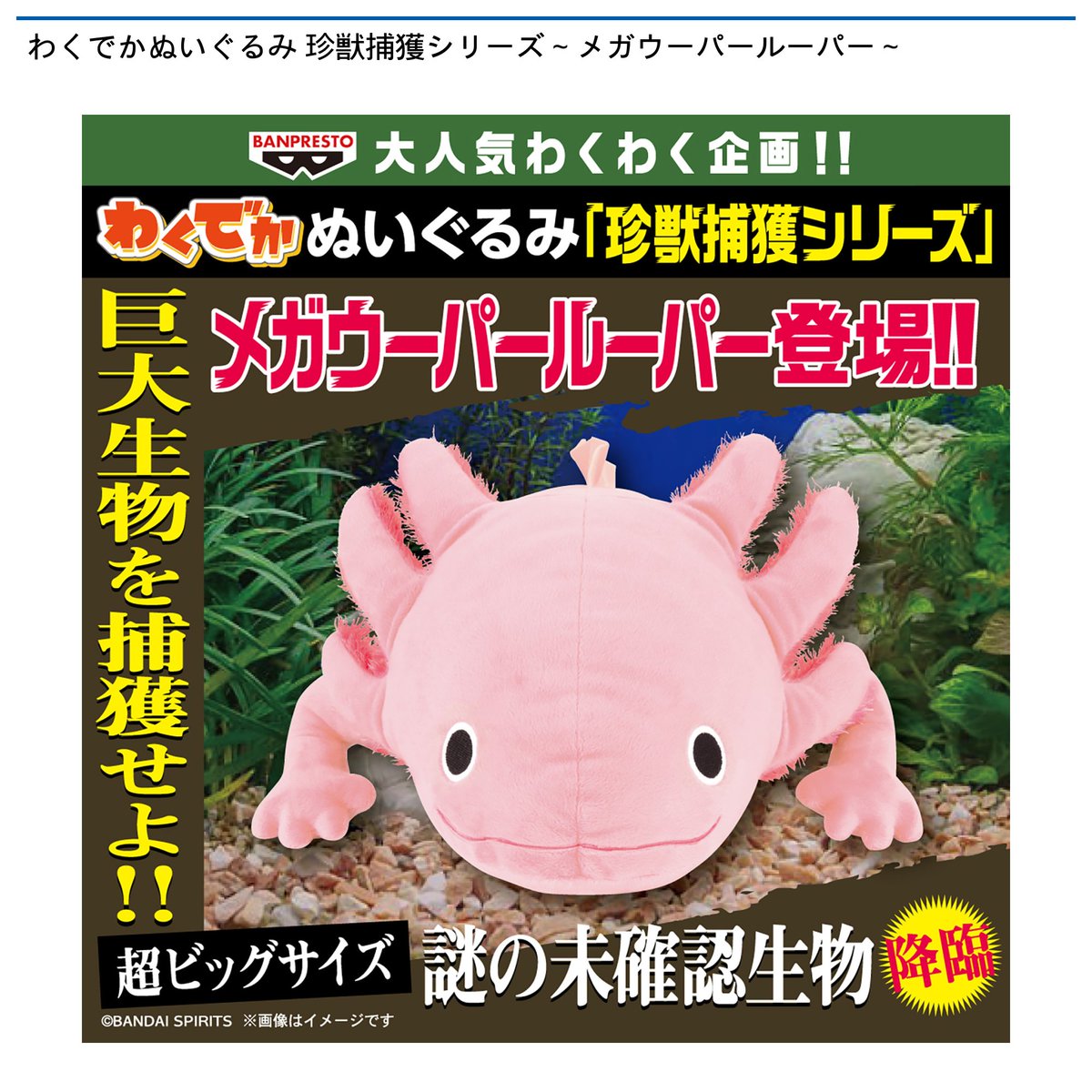 ラウンドワン　フォト Z/X × ラウンドワンコラボキャンペーン開催決定！！ ｜ Z/X -Zillions