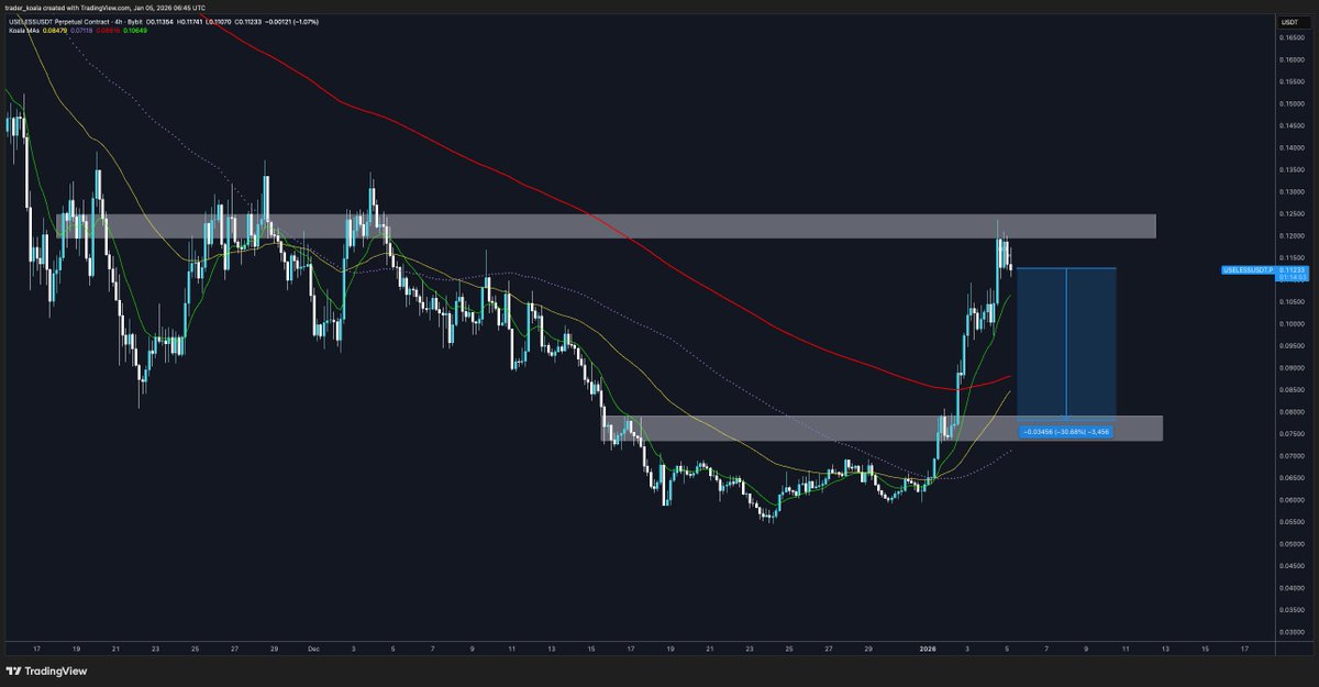 Trader Koala tweet media