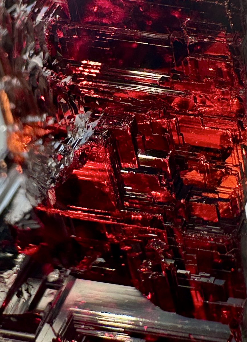 #1月になったのでガーネット見せて下さい
骸晶好きです(*´-`)