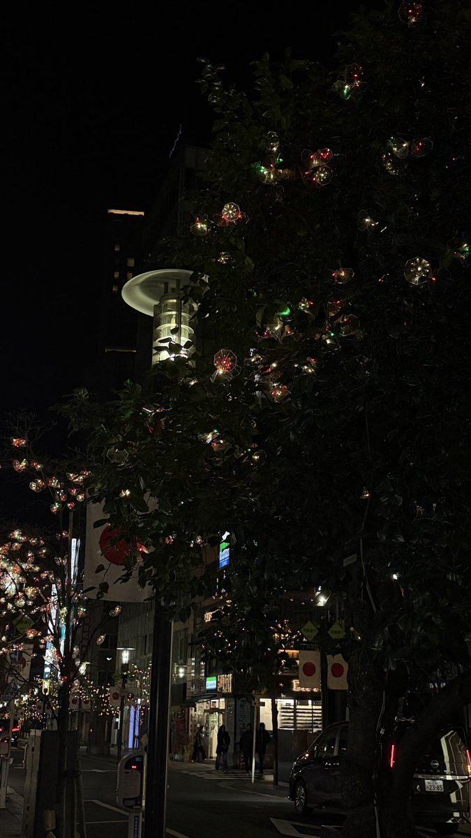 옹⸝⸝⸝ tweet media