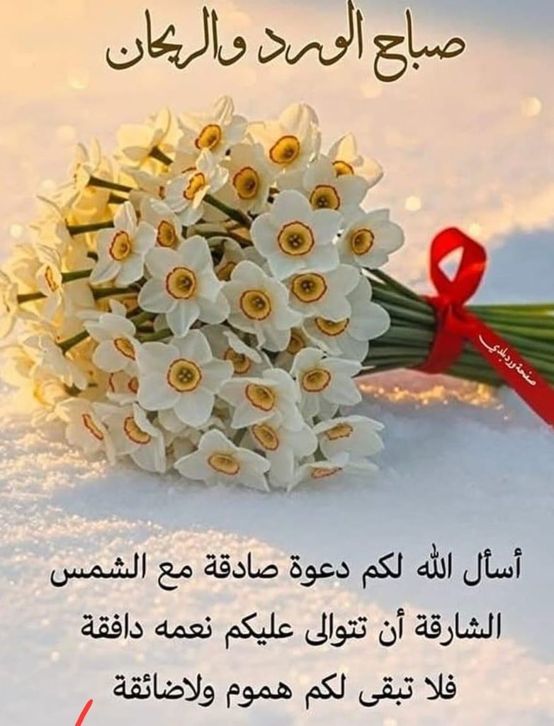 حسين قنبري tweet media