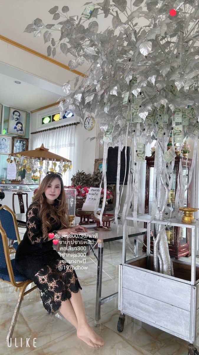 5มกราคม2569
นันท์บางกะปิ.รับนวด
ฝากติดตามติ๊กต๊อกด้วยนะคะ
👇👇vt.tiktok.com/ZSPp6AJv5/
รับรองว่าแซ่บ
   #รับนวดบางกะปิ
#รับนวดรามคำแหง
#รับนวดลาดพร้าว
#รับนวดเสรีไทย
#รับนวดนวมินทร์
@197bdhow