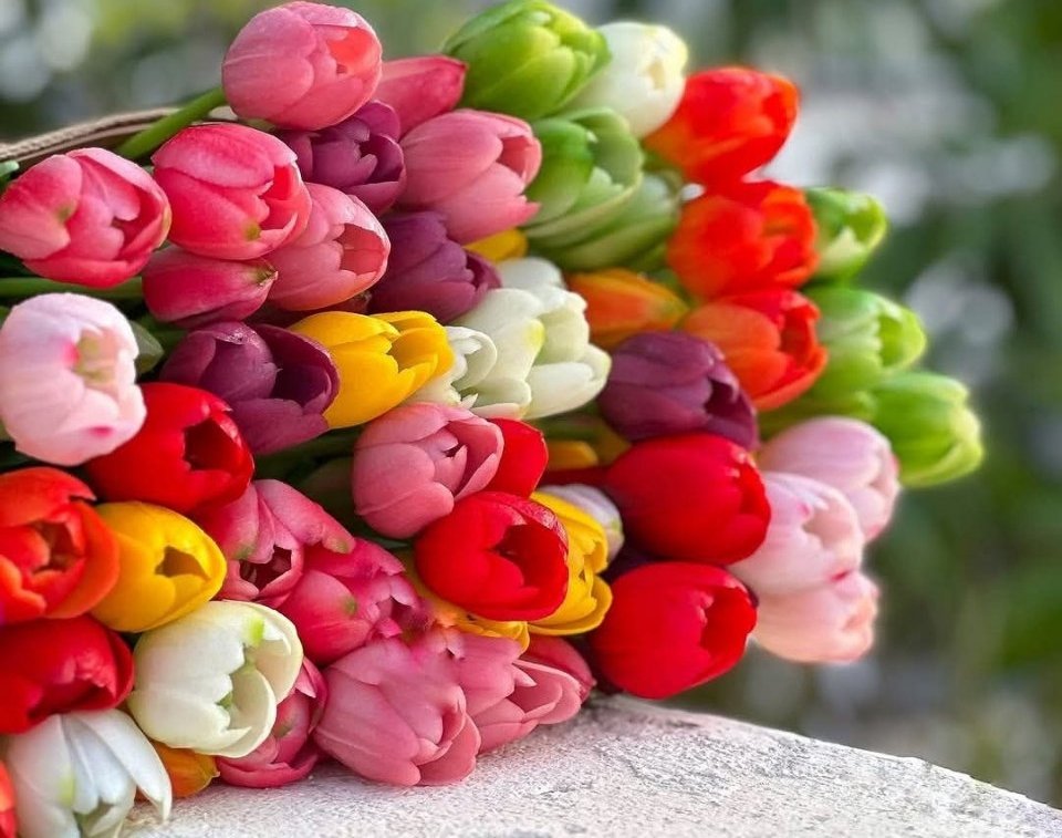 rose232456's tweet photo. #صباح_الخيرᅠ https://t.co/ufB4Ql2NZA