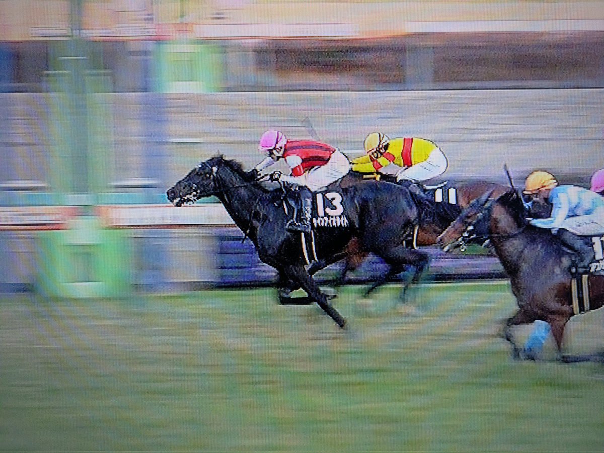 アイオライト、おめでとう🎉🎉🎉
丹内さん、ありがとうございます🙏🙏🙏
アイオライト、兄に続け〜🏇