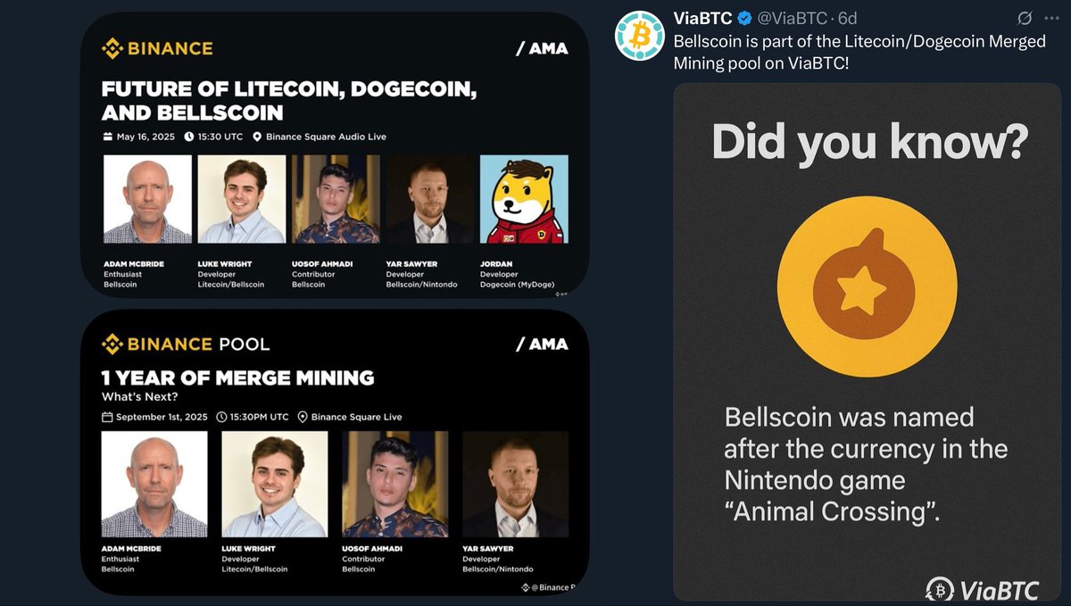 Dogtor PicaPollo tweet media