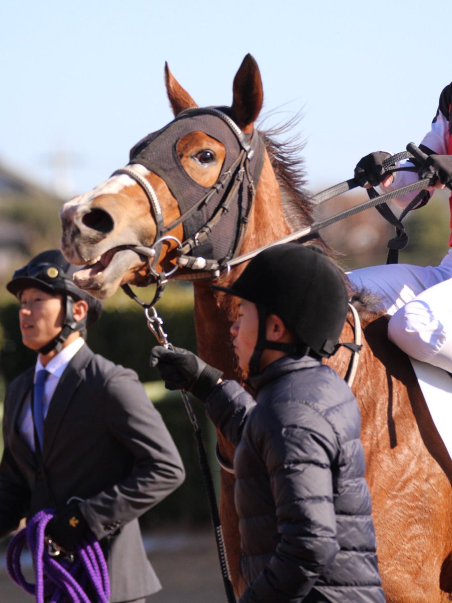 ハル♡ ハルちゃんちのママ (@zbsJUMqxrLzXEM8) / Posts / X