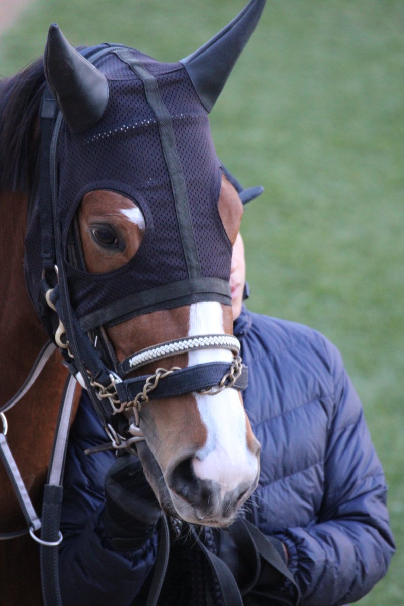 ハル♡ ハルちゃんちのママ (@zbsJUMqxrLzXEM8) / Posts / X