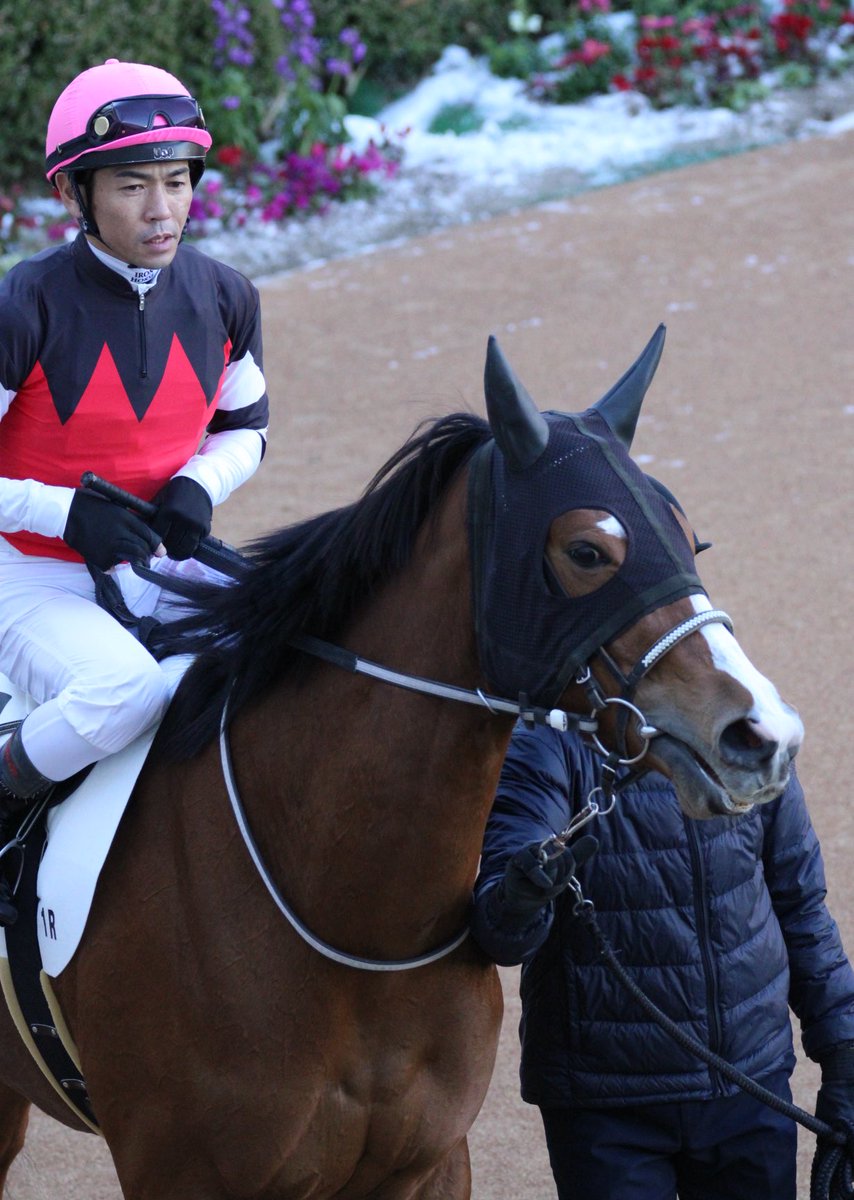 ハルちゃんちのママ (@zbsJUMqxrLzXEM8) / Posts / X