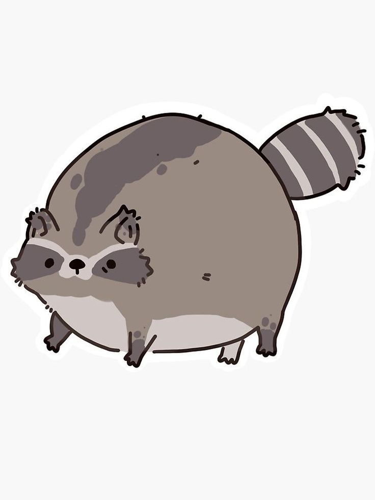ShouldHaveRacc's tweet image. CHONK
