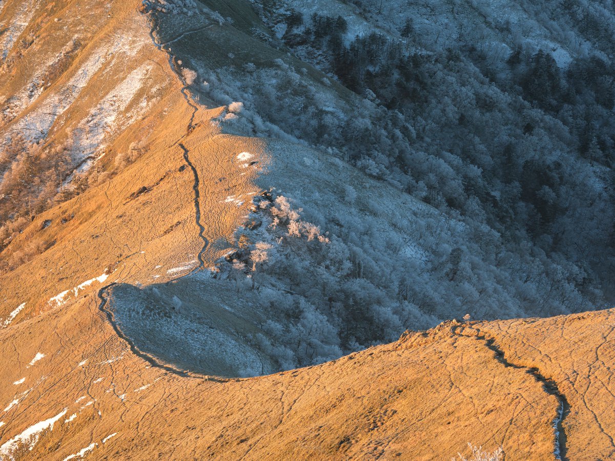 TT__Photo's tweet image. 元旦の剣山