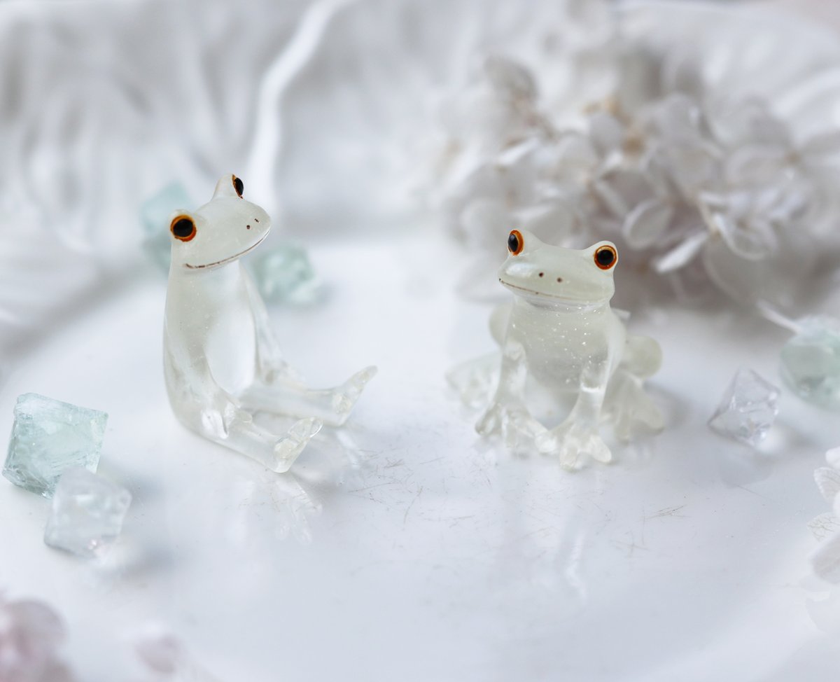 透明カエル🐸🐸