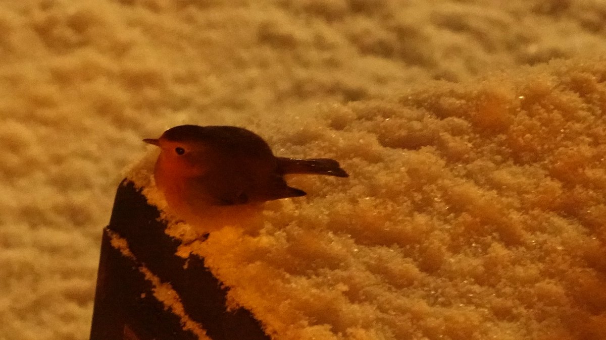 Vissertje1966's tweet image. Goedemorgen op deze 5e dag van het nieuwe jaar een #witte wereld nu ook in Achthuizen #sneeuw. @BuienRadarNL @MeteoVoorne @weermanrobert @weerverteller @weeronline @Weerplaza