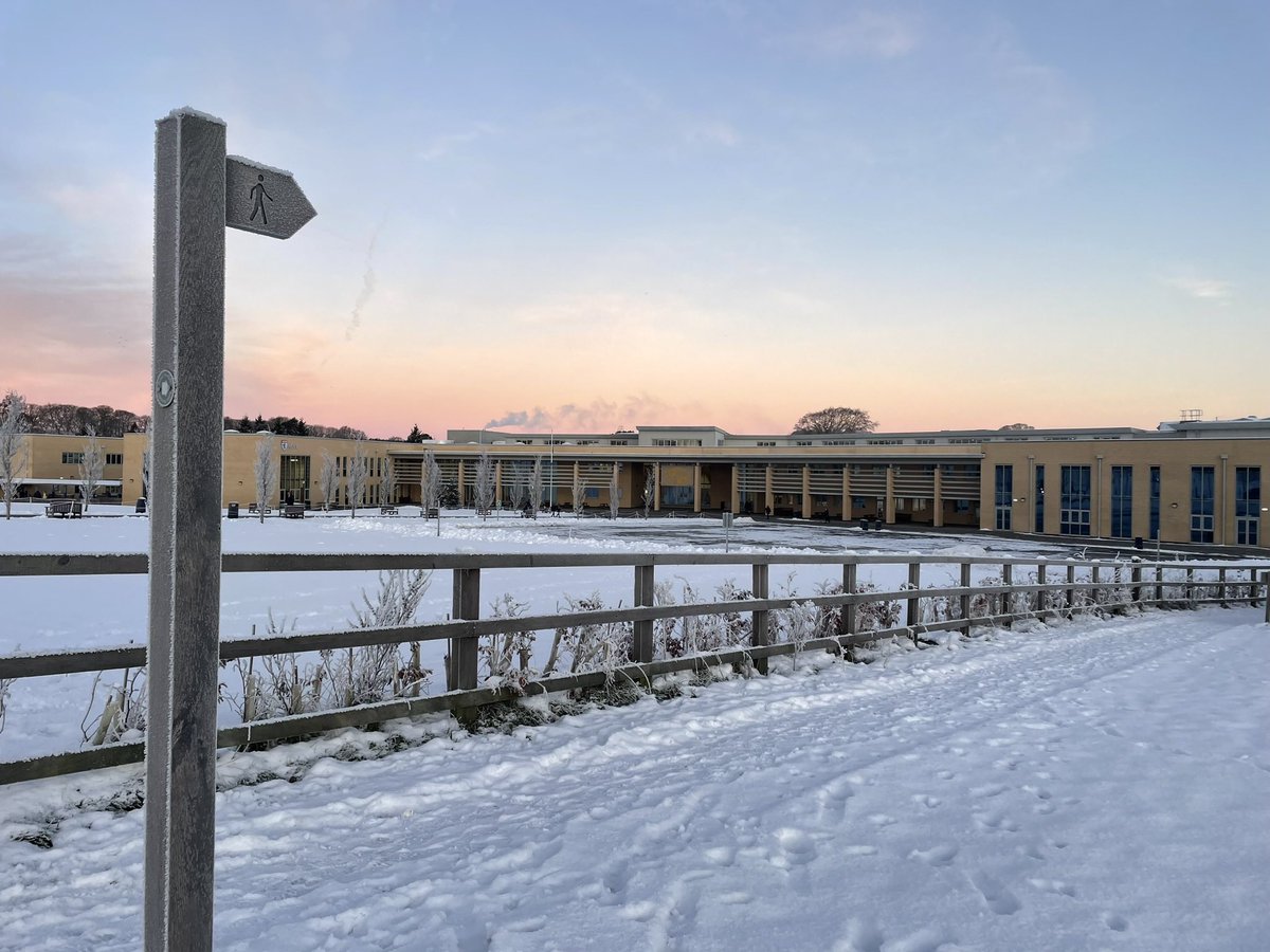 The King's School tweet media