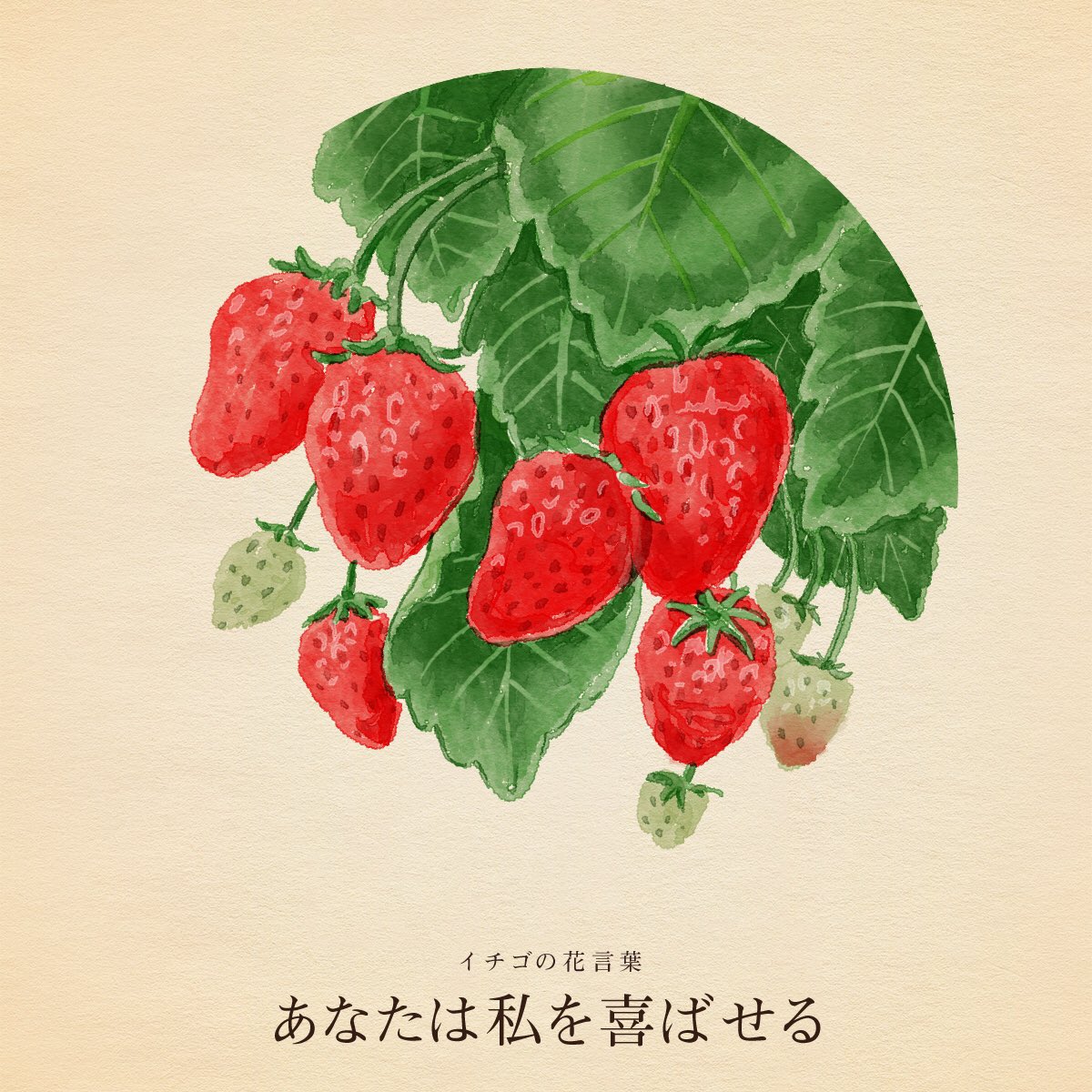 hanacotoba_jp's tweet image. きょう1月15日は《いちごの日》

「いいいちご」の語呂合わせで制定。

イチゴの花言葉は
「あなたは私を喜ばせる」