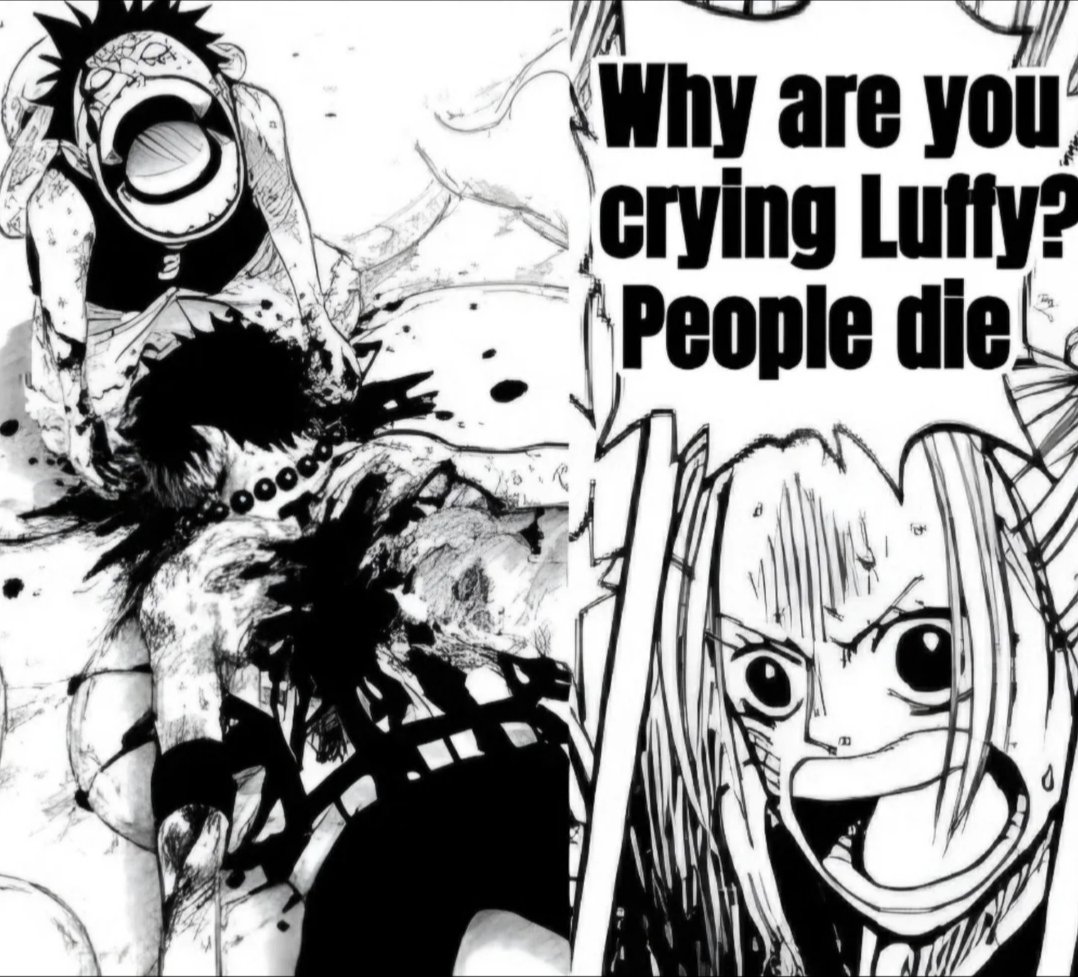 OnePieceVoyager tweet media