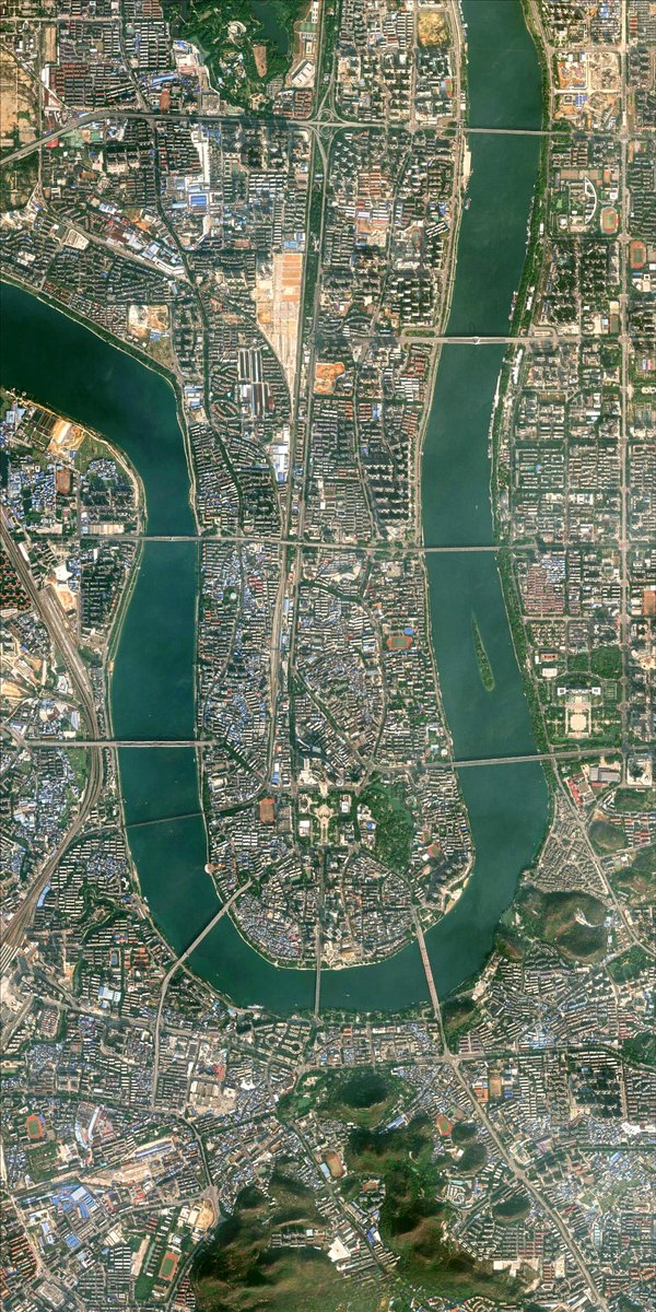 李阡陌(fo) tweet media