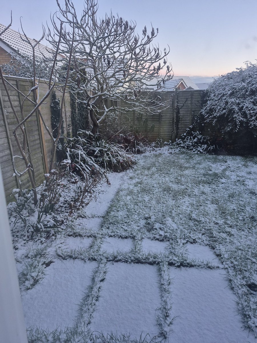 BDMed_Bear's tweet image. Good morning! We've had a little #snow overnight &amp;amp; it looks so pretty! I went out to play in it of course!! It is VERY cold here today so I'm heading back in soon for a hot chocolate &amp;amp; a biscuit! #bearswithjobs #uksnow #winter #outdoors #fresh #cold #MentalHealthMatters