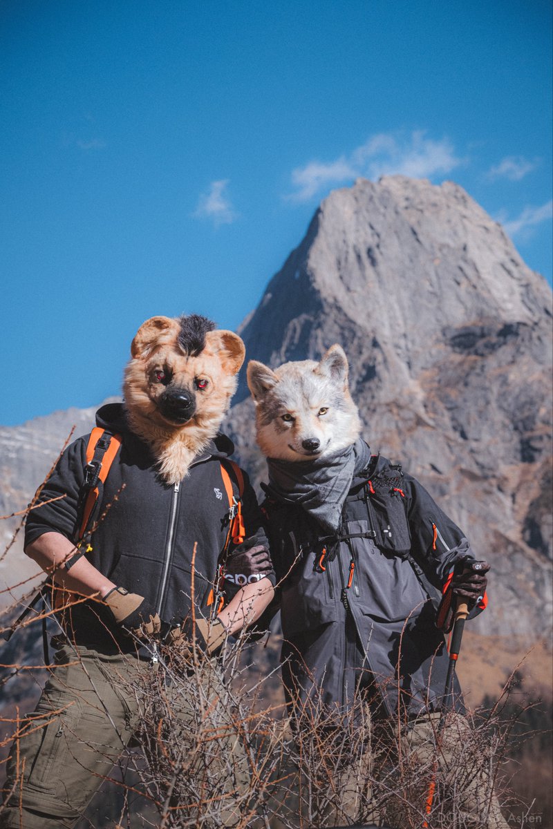 DOUGLAB_Ashen's tweet image. #FursuitEveryday 
#DOUGLAB 

hyena：@Wuzheng9527 
📷：@TheCIPF