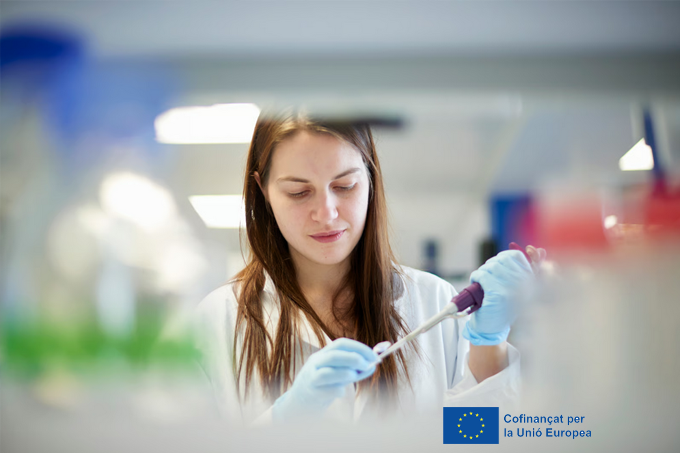 recercauniscat's tweet image. 📣 El Govern reforça la recerca, transferència i ciència oberta amb 85,2M€

Destina:

◾ 45,8M per a grups de recerca 

◾ 32,5M per a transferència de coneixement a les universitats

◾ 6,9M per a ciència oberta

#FEDERCat #EUinmyregio 🇪🇺

gen.cat/49jr1Hl