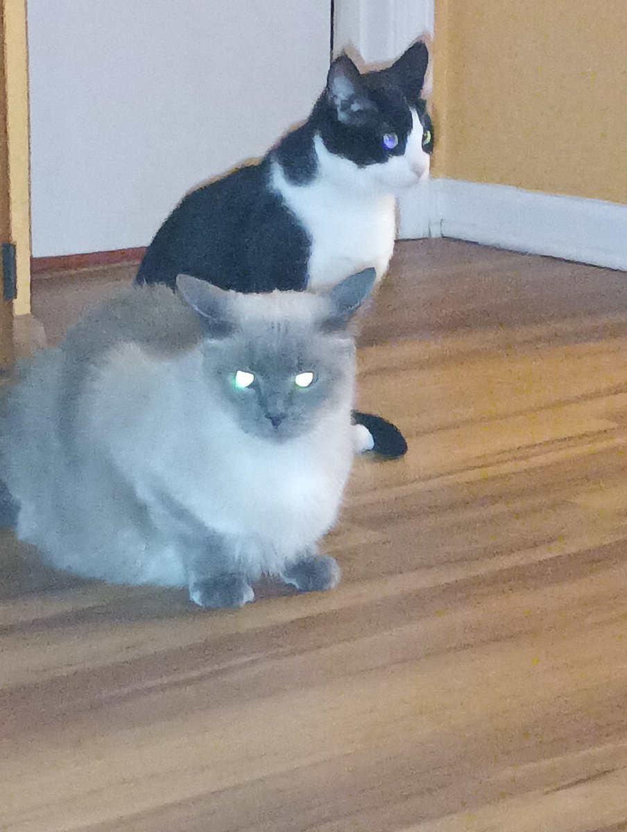 InternetKaleb's tweet image. Woo hoo 1AM Post