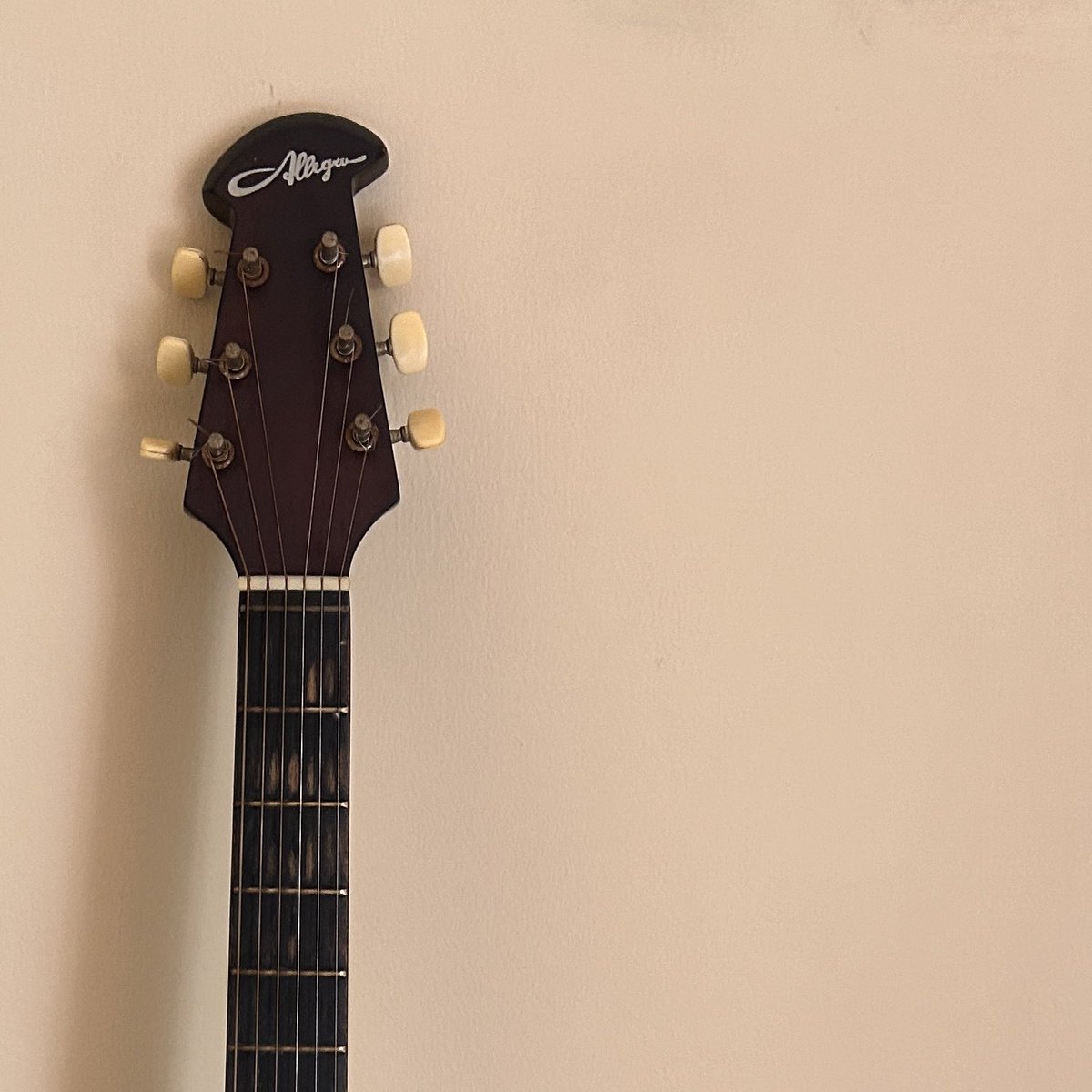 ✧⊹˚🍨🍦 tweet media