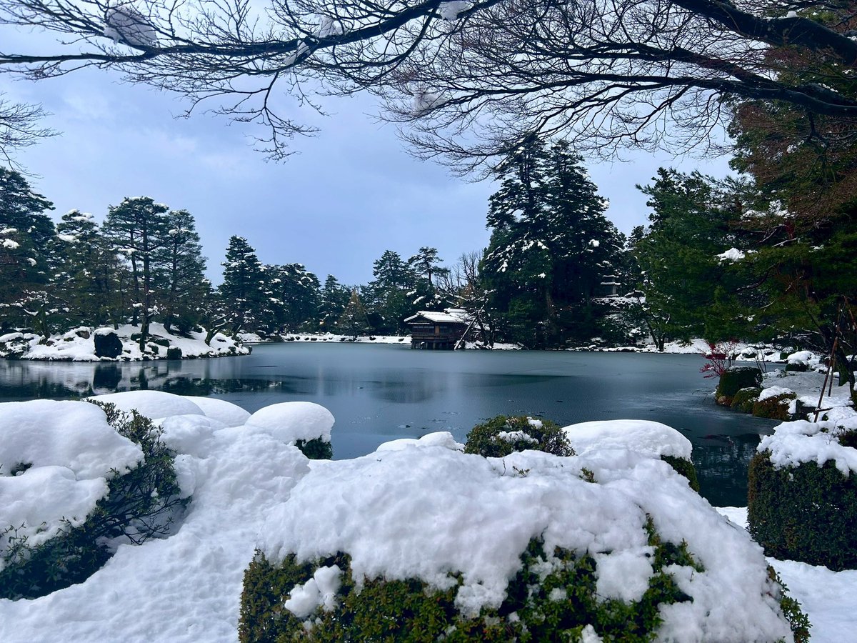 mutimutiRun's tweet photo. あけおめ https://t.co/MF9Dt4YODd