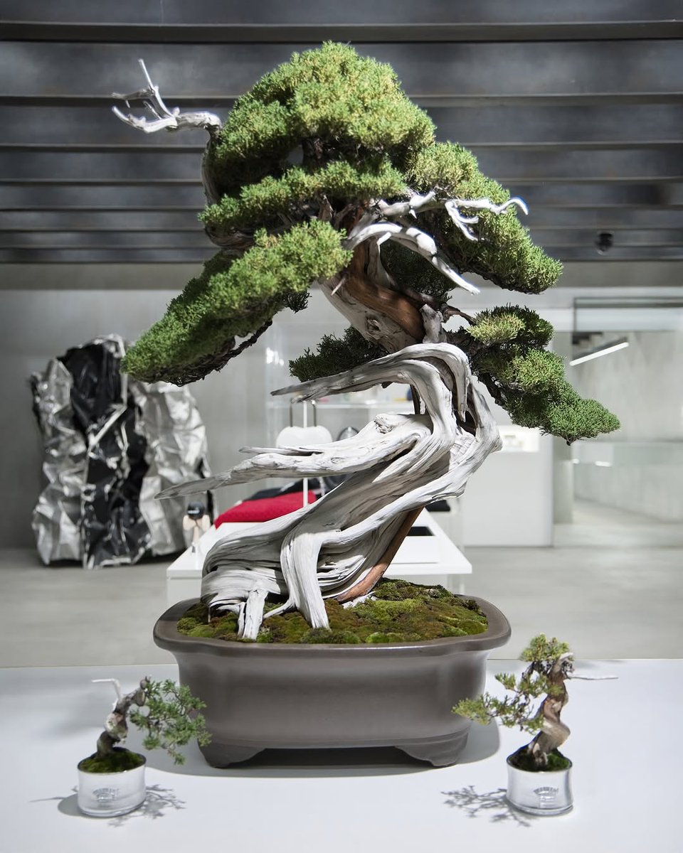 AMBUSH® tweet media