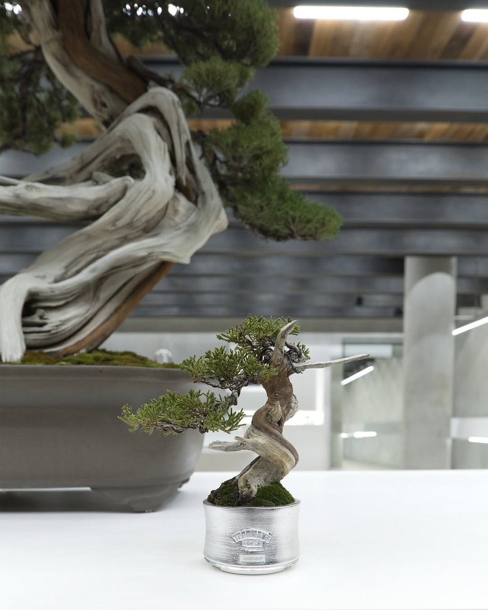 AMBUSH® tweet media