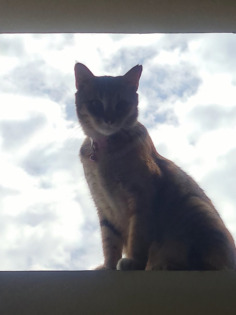 thisisnotmurf's tweet photo. take care of yourself up there ya? https://t.co/FJCZOoPera