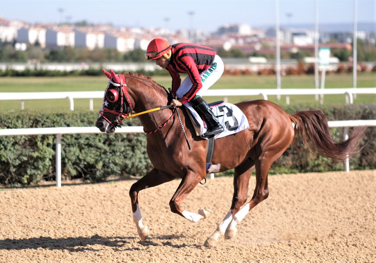 🔴 Halis Karataş, 1150 gün sonra Bursa Osmangazi Hipodromu'nda kum pistte at binecek

⏰ Bursa 2. Koşu
🏇 7️⃣ Prens Levent