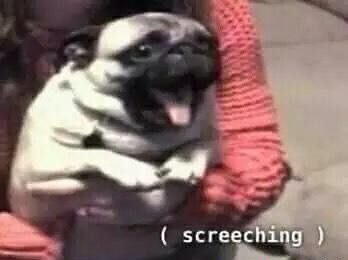 silverxcold's tweet image. first day back at work AND first day of gym for the year being a leg day? suffering